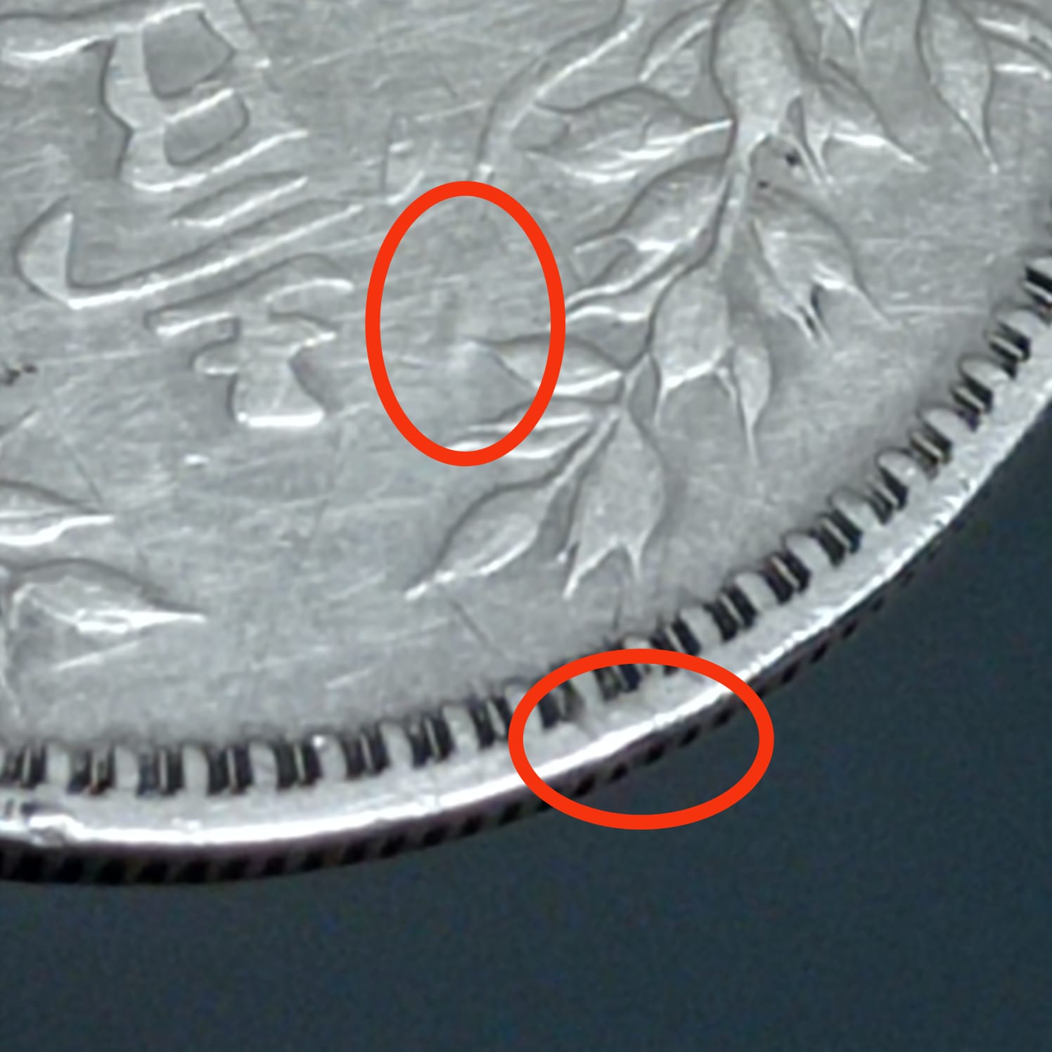 1920-Fat-Man-Dollar-PMD-Or-Otherwise?